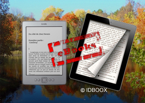 Piratage : Hachette fait surveiller ses livres numériques | IDBOOX | François MAGNAN  Formateur Consultant | Scoop.it