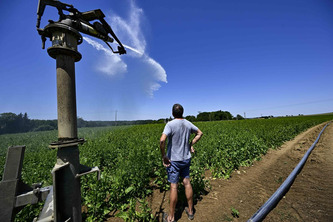 Loi d&rsquo;urgence agricole&nbsp;: les parlementaires trouvent un accord, l&rsquo;eau et les pesticides restent au c&oelig;ur des critiques | Politiques publiques et soci&eacute;t&eacute; | Scoop.it