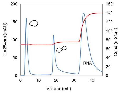 Purification of Plasmid DNA by Multimodal Chromatography | iBB | Scoop.it