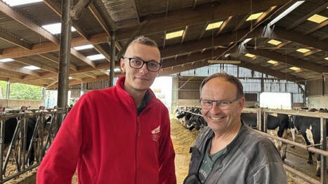 « J’ai gagné presque un mois d’IVV grâce aux colliers de détection de chaleur » - Agri mutuel | Pour innover en agriculture | Scoop.it