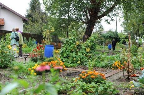Ville durable. Annecy met en valeur sa biodiversité | Les Colocs du jardin | Scoop.it