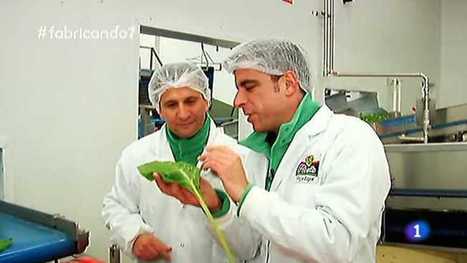 Descubrimos cómo fabricar colchones, bolsas de ensalada e impresoras flexográficas - RTVE.es | tecno4 | Scoop.it