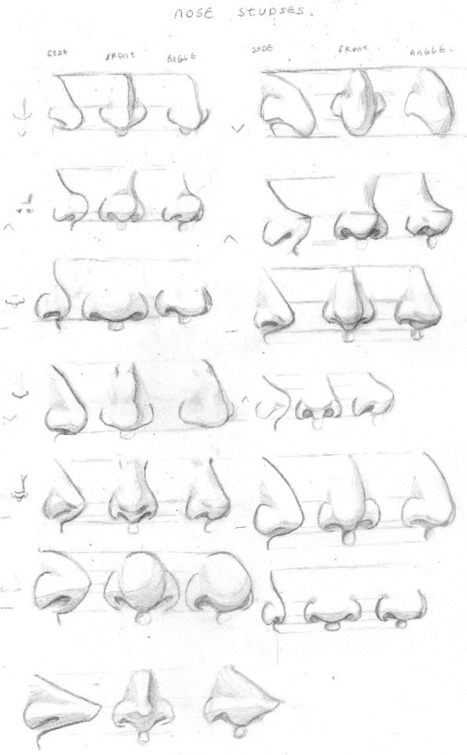 nose drawing' in Drawing References and Resources
