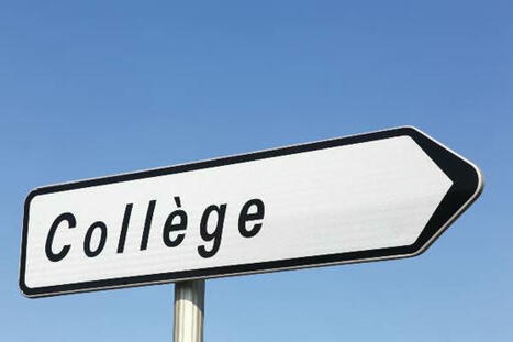 Les alertes de la Cour des comptes sur les enjeux de mixit&eacute; sociale et de baisse d&eacute;mographique au coll&egrave;ge | Veille juridique du CDG13 | Scoop.it