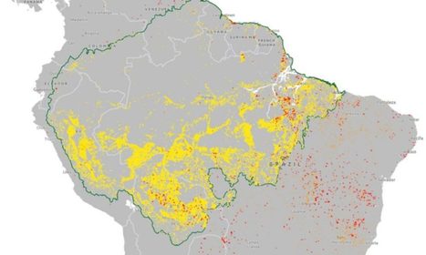 The Amazon Rainforest fires are still going and now you can track them in real-time | RAINFOREST EXPLORER | Scoop.it