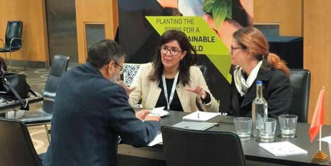 MAROC-Royaume Uni : l’ADA promeut les opportunités d’investissement dans l’agriculture | CIHEAM Press Review | Scoop.it