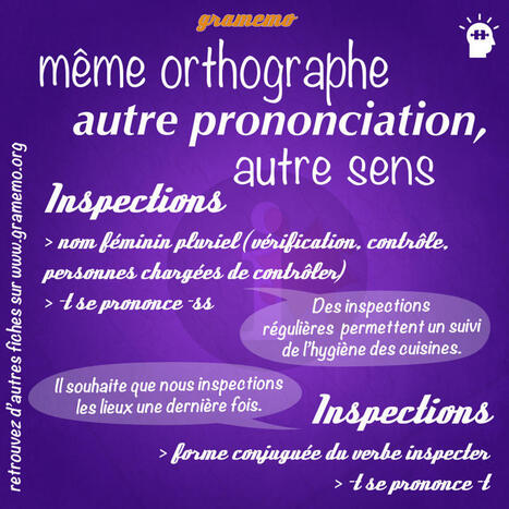 Inspections ou inspections &ndash; Attention, homographes ! | FLE C&Ocirc;T&Eacute; COURS | Scoop.it