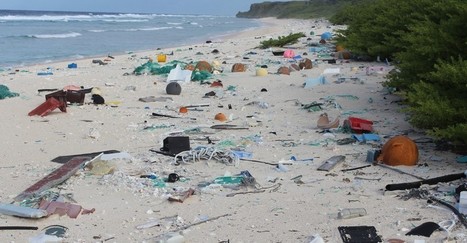 A Remote Paradise Island Is Now a Plastic Junkyard | Human Interest | Scoop.it