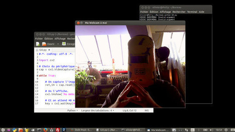 Où il est présenté une méthode en Python pour afficher de la vidéo 3-bit dans son terminal. | Algos | Scoop.it