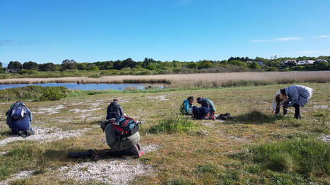 6 applications de sciences participatives à proposer lors de vos animations nature -Agence Bretonne de la Biodiversité | Biodiversité | Scoop.it