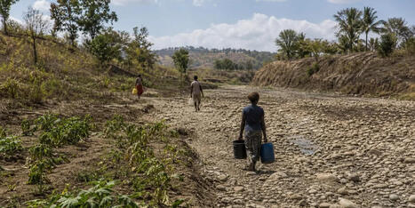 Papua New Guinea drought affects up to 8 million &mdash; The Guardian | Operation Deimos | Scoop.it