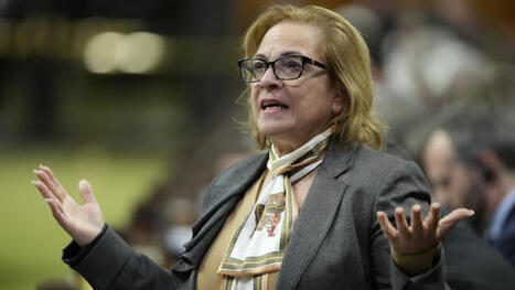 Ottawa seeking mass visa cancellation powers to deter fraud from India: internal documents | Newcomers and Immigrants in Canada | Scoop.it