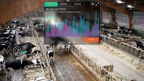 Bien-être animal : des innovations déferlent au service de l'élevage | Elevage et numérique | Scoop.it