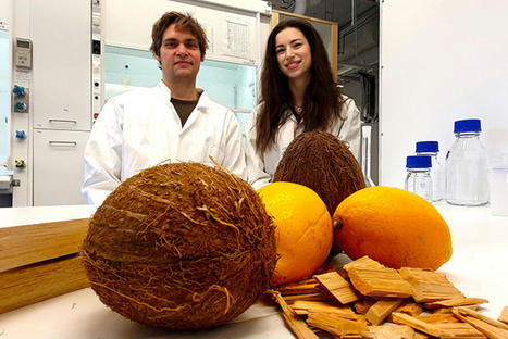 [L’industrie c’est fou] Noix de coco, citron… Ce matériau de construction fruité fait baisser les factures d’énergie | Veille "Villes de demain" | Scoop.it
