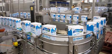 Prix du lait : Intermarché va payer 340 €/1 000 l | Lait de Normandie... et d'ailleurs | Scoop.it