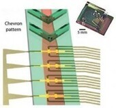 Flow Cytometry On-a-Chip | from Flow Cytometry to Cytomics | Scoop.it