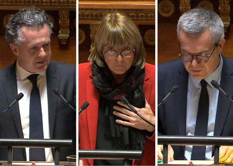 ZAN : le Sénat apporte de légères corrections à son texte et rejette les premiers amendements du gouvernement | Veille juridique du CDG13 | Scoop.it