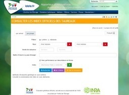 La nouvelle interface des index officiels des taureaux des races laitières et allaitantes | Graines de doc | Scoop.it