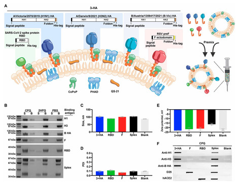A Subunit Vaccine for Multiple Respiratory Viruses | Virus World | Scoop.it