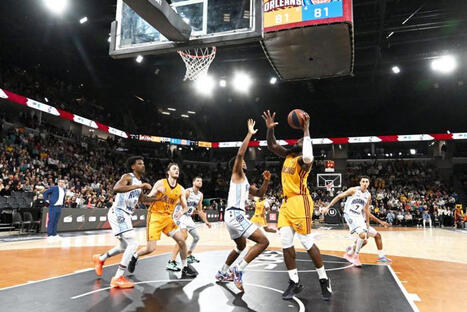 &laquo;&nbsp;Il y a un c&ocirc;t&eacute; irrationnel &agrave; cet engouement&nbsp;&raquo;&nbsp;: l'anomalie Orl&eacute;ans, en &Eacute;lite 2 mais meilleure affluence des sports de salle en France | 7 - Fan Experience | Scoop.it