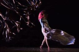 « Le dur désir de durer » du Théâtre Dromesko, au Monfort | Revue de presse théâtre | Scoop.it