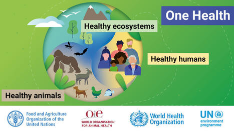 Joint tripartite and UNEP statement on definition of “One Health” | Medici per l'ambiente - A cura di ISDE Modena in collaborazione con "Marketing sociale". Newsletter N°34 | Scoop.it
