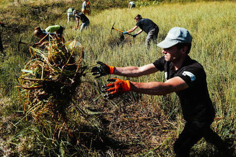 « C’est impressionnant comme le vivant revient vite » : après la sécheresse, des bénévoles à la rescousse des mares | Environnement - Énergie | Scoop.it