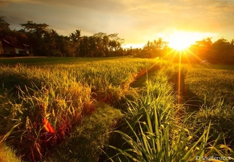 Reusing water for agriculture and keeping our urban areas green | Energy Transition in Europe | www.energy-cities.eu | Scoop.it