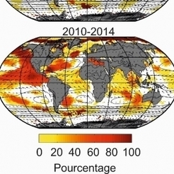 Des changements biologiques sans pr&eacute;c&eacute;dent dans l&rsquo;oc&eacute;an mondial - CNRS | Biodiversit&eacute; | Scoop.it