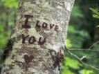 Saying 'I Love You': Romantic Ideas For Relationships | Gina Senarighi | YourTango | Relationships | Scoop.it