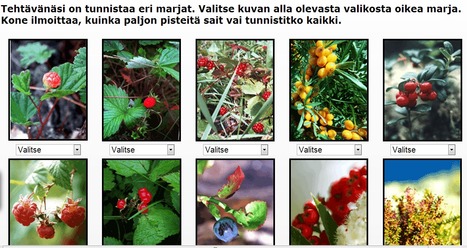 Pelit - Savon Sanomat | 1Uutiset - Lukemisen tähden | Scoop.it