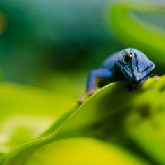 The Blue Guy by Inge Aukrust | My Photo | Scoop.it