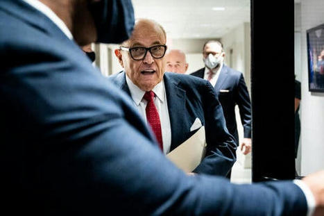 Trump Has Discussed With Advisers Pardons for His 3 Eldest Children and Giuliani - The New York Times | Backstabber Watch | Scoop.it