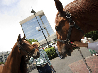 Joan Sebastian cumple promesa | Caballo, Caballos | Scoop.it
