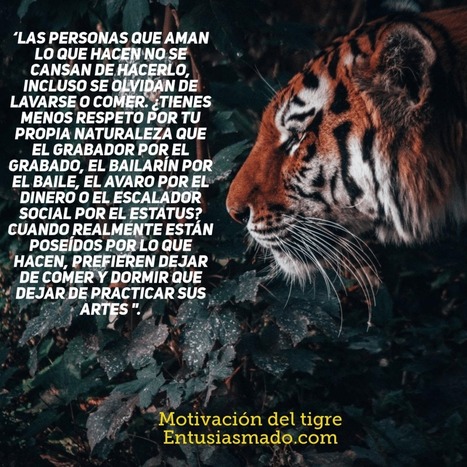 Cómo conseguir la motivación del tigre en tu trabajo >> | Educación, TIC y ecología | Scoop.it