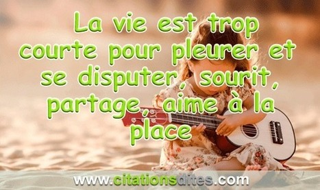 Dicton Sur La Vie Est Trop Courte