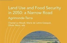 Il est urgent d&rsquo;agir pour nourrir la plan&egrave;te de fa&ccedil;on durable | Life Sciences Universit&eacute; Paris-Saclay | Scoop.it