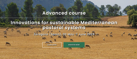 Innovations for sustainable Mediterranean pastoral systems | CIHEAM ZARAGOZA | CIHEAM Press Review | Scoop.it