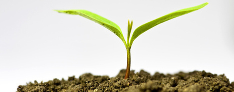 Méthanisation domestique | Transition énergétique territoriale | Scoop.it