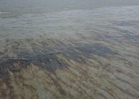 Gulf of Mexico Pipeline Repaired After Mystery Oil Spill Off Louisiana / le 08.04.2024 | Pollution accidentelle des eaux (+ déchets plastiques) | Scoop.it