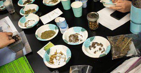 The seed keepers: Four Dakota women work to preserve culture through seeds | South Dakota History | Scoop.it