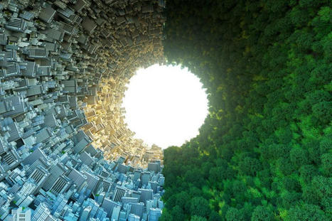 Sustainability important for leisure travellers: study | Sustainable Procurement News | Scoop.it