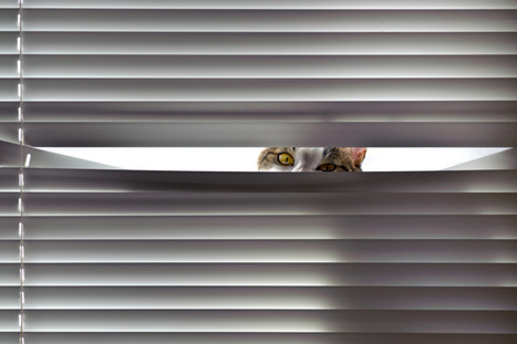 How to reclaim your privacy in Windows 10, piece by piece | WinTechSolutions | Scoop.it