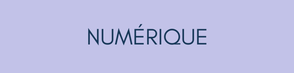 DOSSIER Numérique | Veille territoriale AURH | Scoop.it