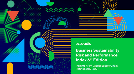 Business Sustainability Risk and Performance Index: Insights from Global Supply Chain Ratings | Supply chain News and trends | Scoop.it