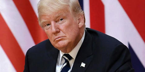 Two Texas businessmen pitched Trump on plan to overturn 2020 election: J6 report - RawStory.com | Operation Deimos | Scoop.it