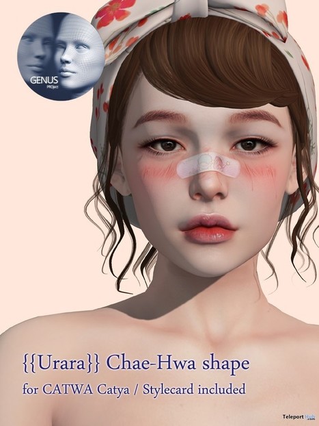 Chae-Hwa Shape For GENUS Babyface Head 75L Promo by Urara | Teleport Hub - Second Life Freebies | Teleport Hub | Scoop.it