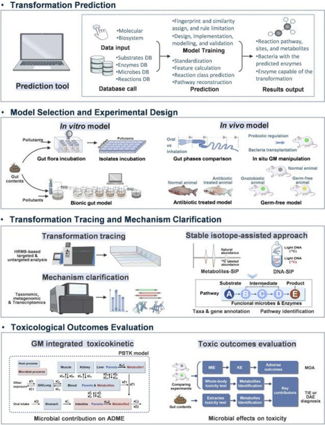 Deciphering the Universal Role of Gut Microbiot...