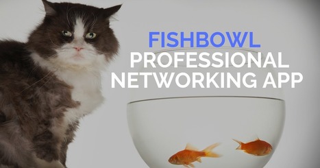 An Overview of Fishbowl - A Professional Discussion App and network for Teachers via @rmbyrne | Education 2.0 & 3.0 | Scoop.it