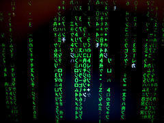 Bob Sutton: Don't Let Data Obscure Real Humans | Entrepreneurship, Innovation | Scoop.it